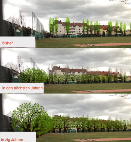 Unions-Sportplatz heute und später (eigene Collage)