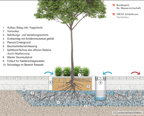 Das Schwammstadtprinzip (Quelle Schwammstadt.at)